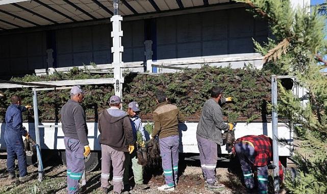 Nevşehir tarihinin en büyük ağaçlandırma seferberliği başlıyor.