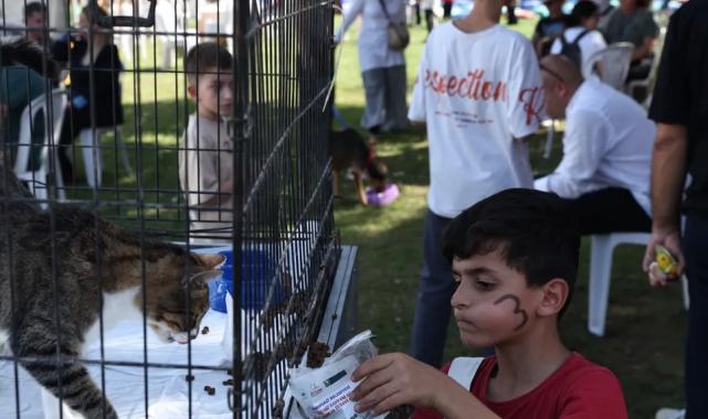 Nilüfer’de can dostlar yeni yuvalarına kavuşuyor