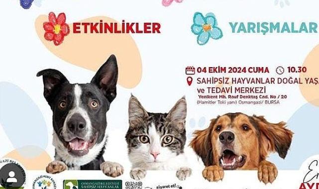 Osmangazi Belediyesi, 4 Ekim Dünya Hayvanları Koruma Günü’nde düzenleyeceği bir dizi etkinlik ile hayvan haklarına ve doğal yaşamın önemine dikkat çekecek