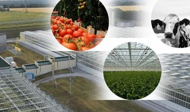 OTB’ler kuruluyor… Hangi destekler verilecek? Yatırım rehberi hazırlandı