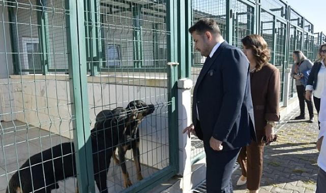 Patili Dostlara Miniklerden Ziyaret