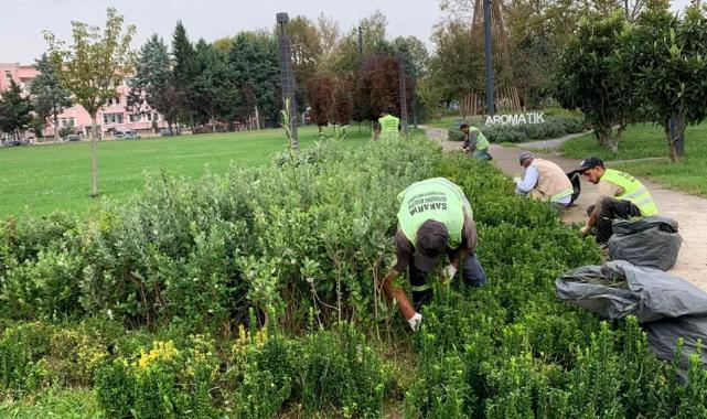 Sakarya’da şehrin dört bir yanına sonbahar dokunuşu