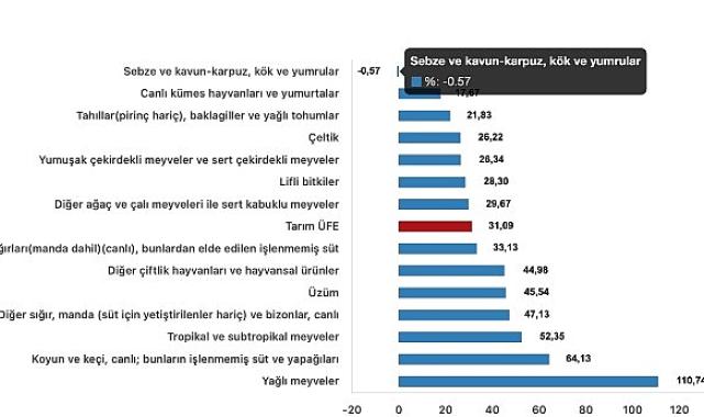 Tüik: Tarım ürünleri üretici fiyat endeksi (Tarım-ÜFE) yıllık %31,09 arttı, aylık %2,00 arttı