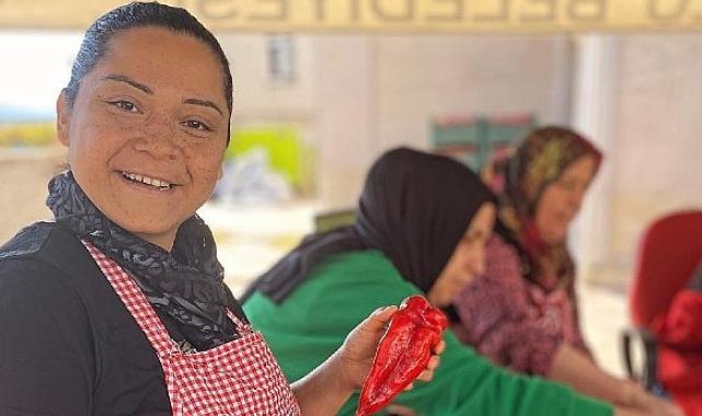 Türkiye’nin Hepsiburada’sı, e-ticaret yapan kadın kooperatifi sayısını iki katına çıkaracak