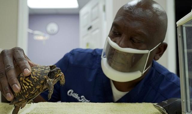 ‘Veteriner Dostlar: Sürüngenler Özel’ 20 Ekim Pazar Günü 20.00’de National Geographic WILD Ekranlarında!