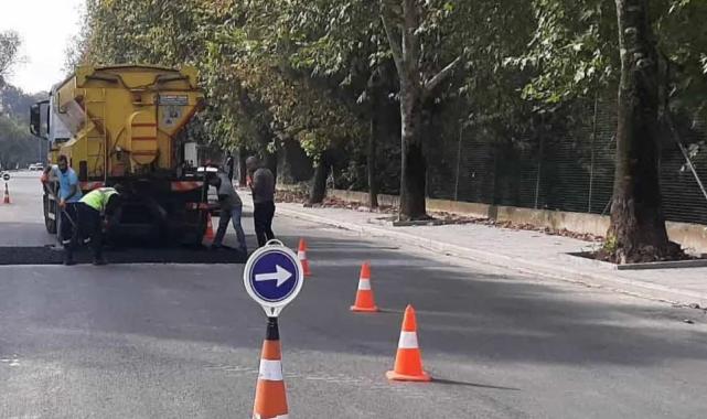 Yollarda öncelik yaya ve araç güvenliği