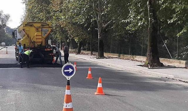 Yollarda öncelik yaya ve araç güvenliği