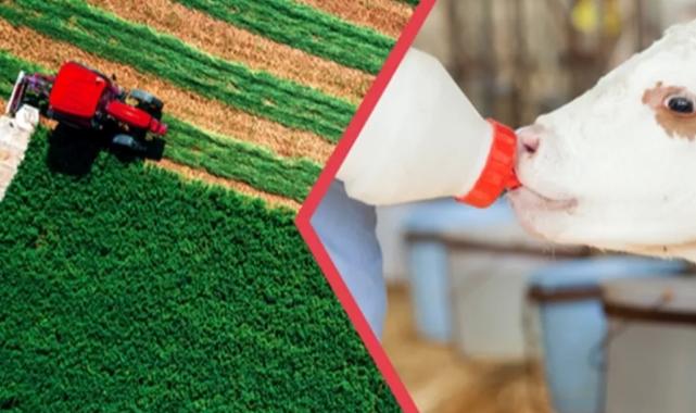 112 milyon TL’lik tarımsal destekler hesaplarda