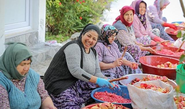 Aliağa’nın Doğal Çıtak Nar Ekşisi’nin Sofralara Uzanan Öyküsü