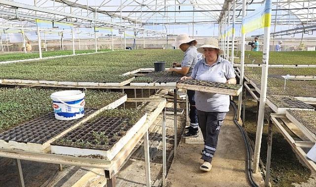 Antalya’nın caddeleri kışında rengarenk olacak