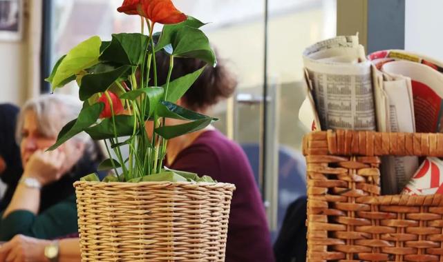 Atıklar maharetli ellerde ‘sanat’ a dönüşüyor