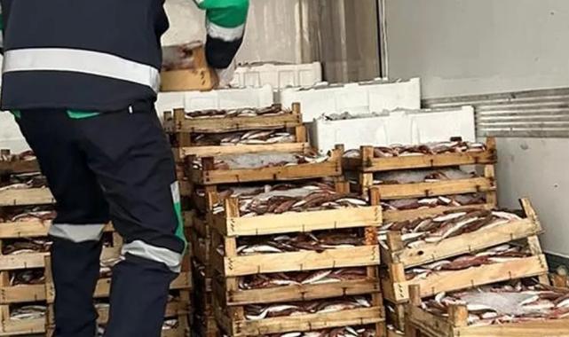 Aykırı avcılıkta 173 kasa barbunyaya el konuldu!