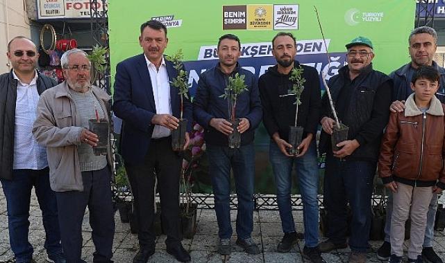 Başkan Altay: “Pilot 3 İlçemizde Çiftçilerimize Antep Fıstığı Fidanı Desteğinde Bulunduk”