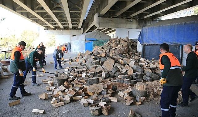 Bayrampaşa’da budanan ağaçlar evleri ısıtıyor