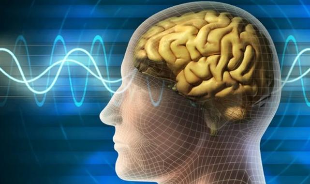 Beyin sağlığı için 6 etkili önlem!