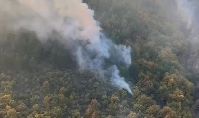 Bilecik Kurtköy’deki orman yangını söndürüldü