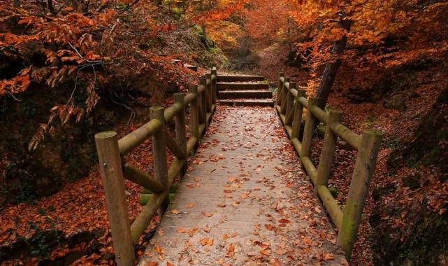 Bilecik Pazaryeri Sonbahar’da başka güzel