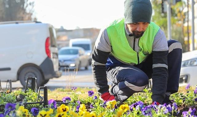 Buca’da yeşil doku için yoğun mesai