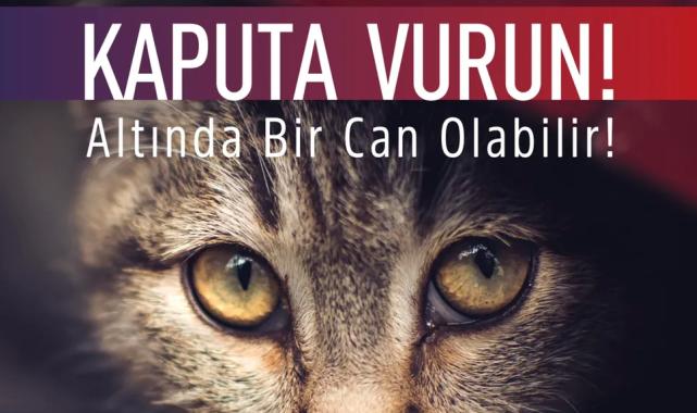 Bursa Osmangazi’den araç sürücülerine uyarı: Önce kaputa vurun!