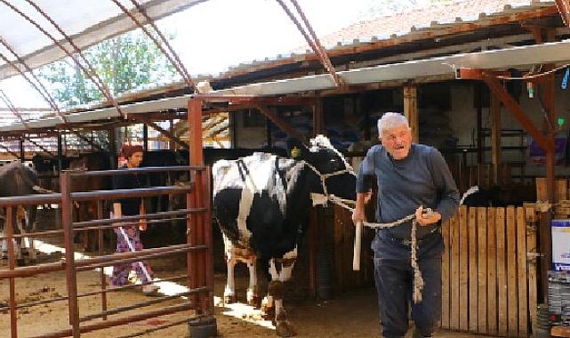 Büyükşehir Belediyesi’nin hayvan üreticilerine desteği sürüyor