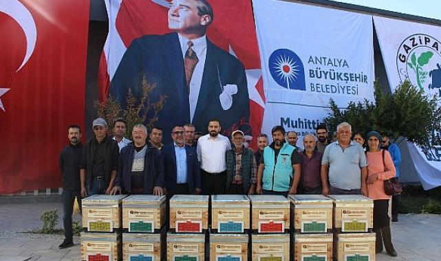 Büyükşehir’den Gazipaşalı arıcılara kovan desteği