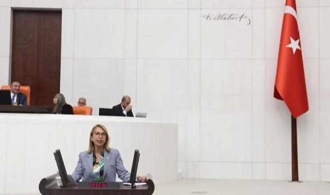 CHP’li vekilden bütçe eleştirisi