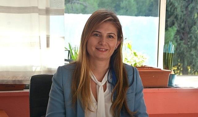 COP29: İklim değişikliğiyle mücadelede yeni bir başlangıç