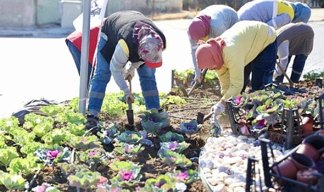 Didim’de Kışlık Çiçeklerin Dikimine Başlandı