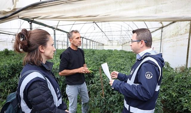 İBB, kentin üreticilerine tohum, fide desteğinin yanında toprak kalitesini ölçerek de destek oluyor