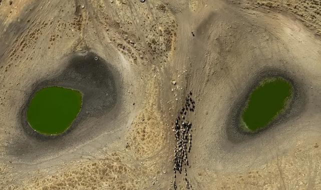 İklim değişikliği ekosistemleri tehdit ediyor