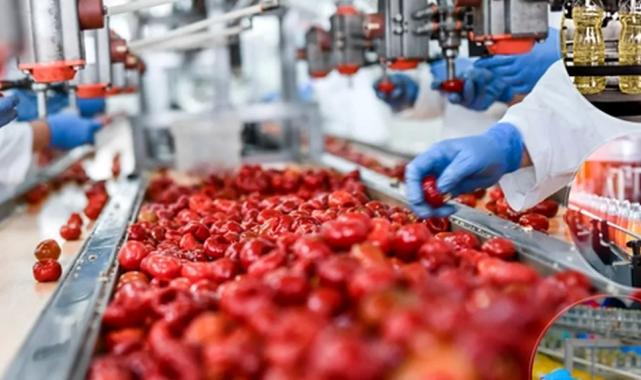 IPARD 3 kapsamında 38 projeye 397 milyon TL hibe