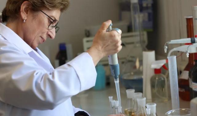 İstanbul tarımda verim ve kalitede vites yükseltti