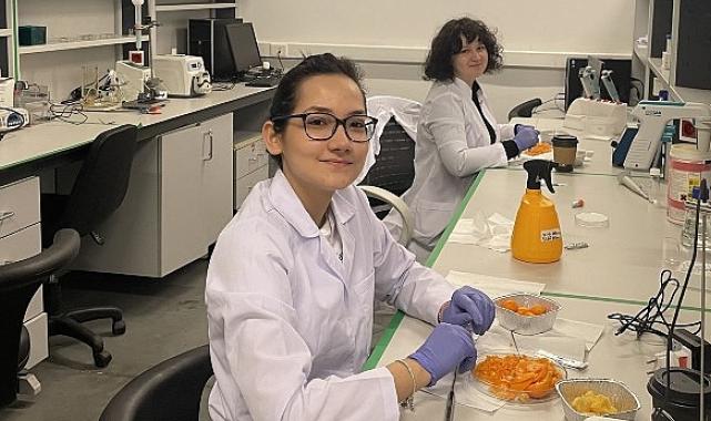 Kamkat meyvesinin özü kanser ilacının etkisini artırıyor