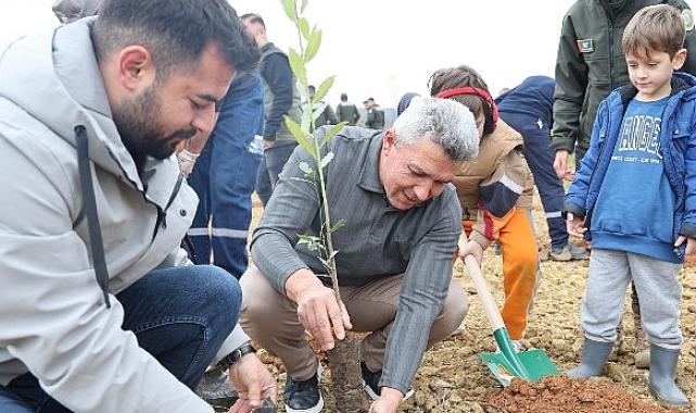 Kandıra’da 1.500 Defne Fidanı Toprakla Buluştu.