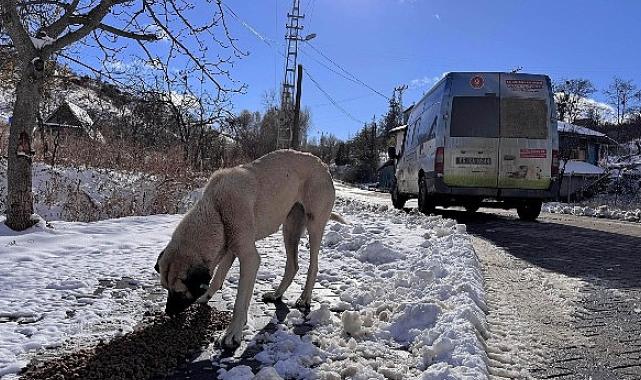 Keçiören Belediyesi can dostları unutmadı