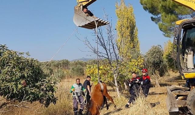 Kemalpaşa Ulucak Mahallesi’nde su kuyusuna düşen yılkı atı, ekiplerin yoğun çalışmaları sonucu kurtarıldı