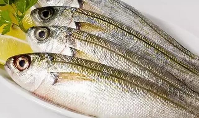 Kupes ile sardalya balığı gıda amaçlı tescillendi