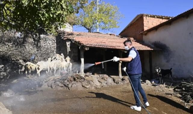 Manisa’da mavi dil hastalığıyla mücadele kapsamında 111 mahalle ilaçlandı