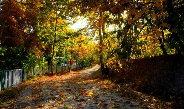 Mardin Yeşilli’de sonbahar renk cümbüşüne dönüştü