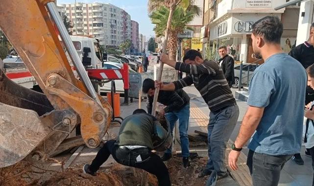 Mardin’de ağaç kesenler fidan dikti