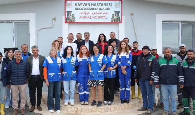 Mardin’in çöpçü eşekleri tarihe karışıyor