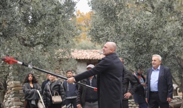 Marmara Adası’nda zeytin hasat şenliği düzenlendi