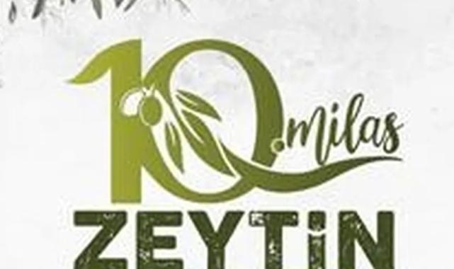 Milas’ta zeytin hasat şenliği için geri sayım başladı
