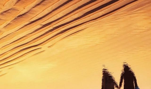 Mobil fotoğrafçılıkta ‘kalpleri ısıtan’ sergi İstanbul’da