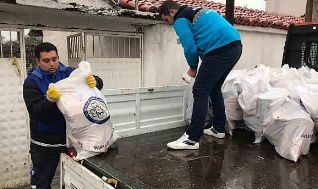 Muğla Büyükşehir Belediyesi Mezarlıkları Temizliyor, Odunlar İhtiyaç Sahiplerine Yakacak Oluyor