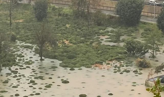 Rize Çayeli’nde heyelan! CHP: Bu tür afetler kader değil, basiretsizliktir!