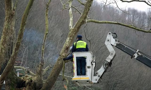 Sakarya üç boyutlu tomografi ile faciaları önleyecek