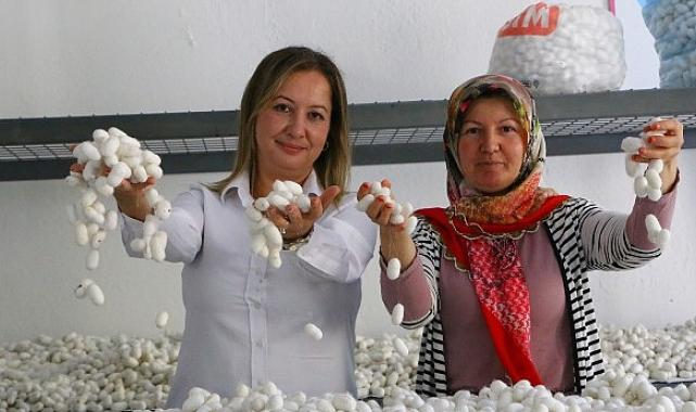 Sapadere İpek Evi’nde eğitim kursları başladı