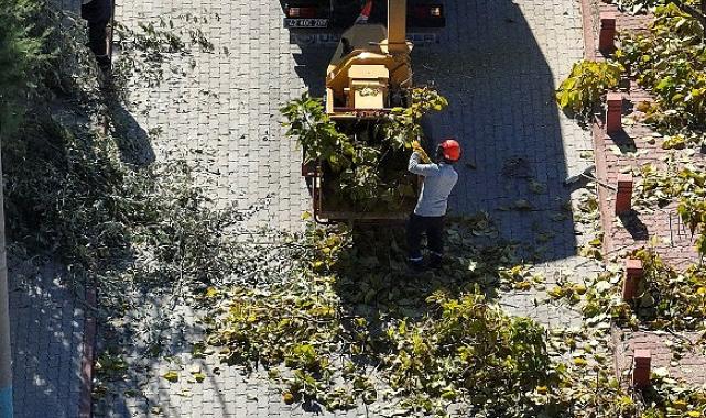 Selçuklu’da Ağaç Budama Çalışmaları Devam Ediyor