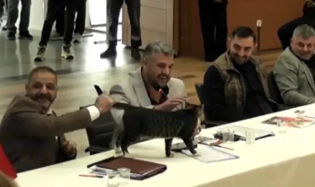 Şile’de AK Parti’den CHP’li üç belediye başkanına ‘kedili’ teşekkür!